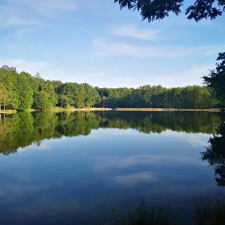 Orseg Kincse Nagy - 6 Fore Hegyhátszentjakab