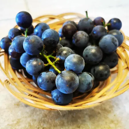 ゲストハウス Orseg Kincse Nagy - 6 Fore 3*