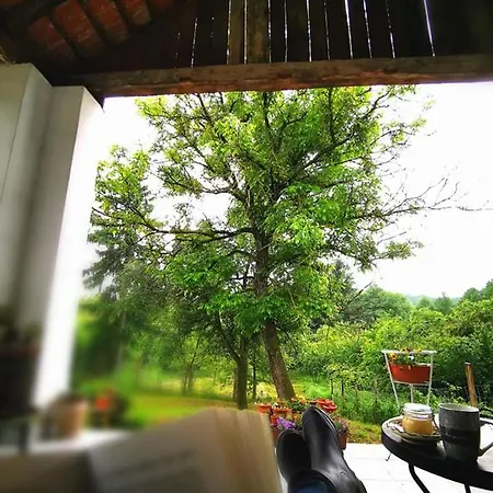 Orseg Kincse Nagy - 6 Fore ゲストハウス 3*