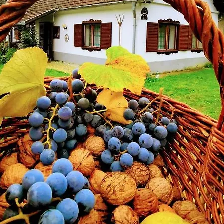 ゲストハウス Orseg Kincse Nagy - 6 Fore